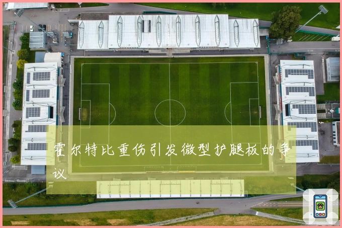 霍尔特比重伤引发微型护腿板的争议