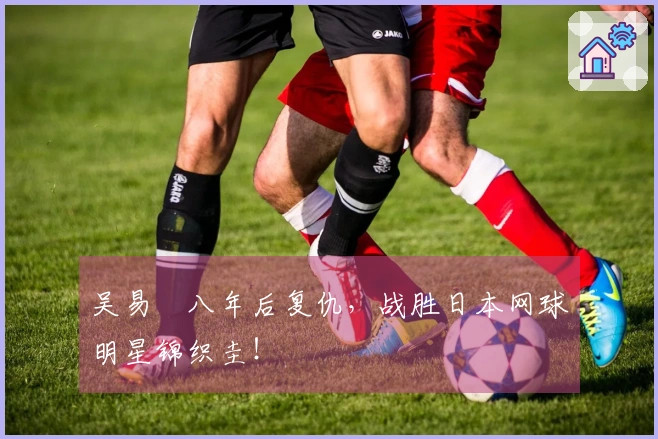 吴易昺八年后复仇，战胜日本网球明星锦织圭！