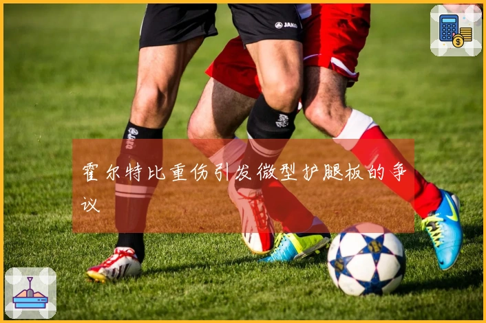 霍尔特比重伤引发微型护腿板的争议